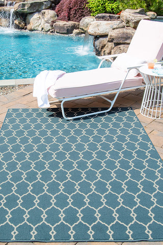 100% Polypropylene Rectangle Indoor/Outdoor Area Rug