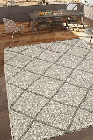 100% Polypropylene Vintage  Indoor/Outdoor Area Rug