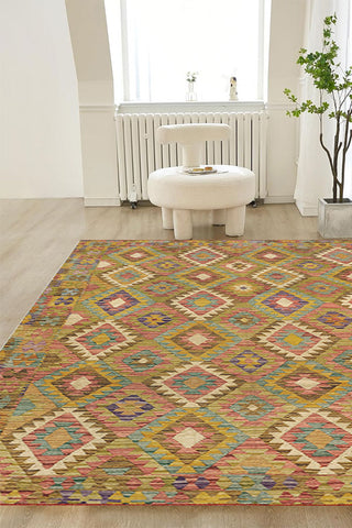 100% Polyester Southwestern  Indoor Area Rug