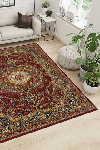 100% Polypropylene Vintage  Indoor Area Rug