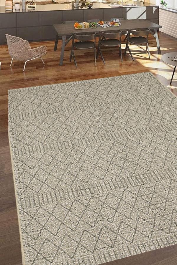 100% Polypropylene Vintage  Indoor/Outdoor Area Rug